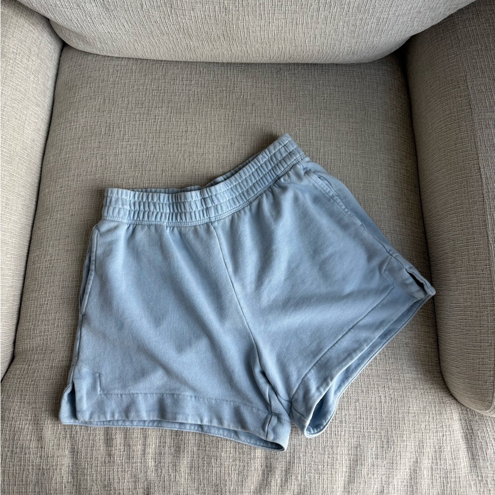 Aerie Light Blue Women's Shorts